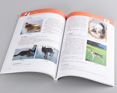 印刷裝訂方式大全第7張-宣傳畫(huà)冊,紀念冊設計制作-價(jià)格費用,文案模板,印刷裝訂,尺寸大小