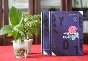 【案例】畢業(yè)紀念冊?xún)热菰趺醋霾拍芨袆?chuàng  )意-成都實(shí)外2018屆