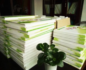 中學(xué)初三畢業(yè)紀念冊設計-九年級畢業(yè)同學(xué)錄制作