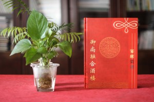 宴會(huì )宴席菜單設計制作 有中國特色的酒樓菜譜設計制作案例
