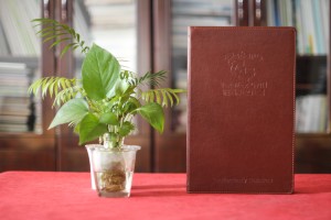 【高檔西餐菜譜設計】皮面菜譜制作廠(chǎng)商為西餐廳飯店做的菜單設計