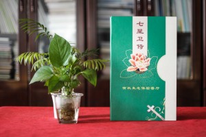透過(guò)生態(tài)餐廳菜譜排版制作案例-講解中餐廳設計菜單應該注意什么?