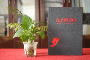 專(zhuān)業(yè)菜譜制作公司所做的有文化內涵的菜譜,很有川菜地方特色的菜譜