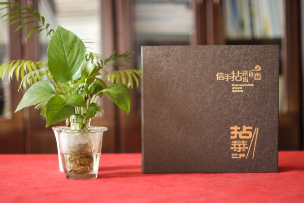 五星級酒店特色餐廳制作高檔菜單實(shí)拍圖片-給菜譜設計廠(chǎng)家跪了!
