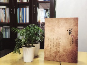 陳氏個(gè)性圖文家譜-個(gè)性創(chuàng  )意族譜設計制作