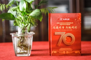 成都精裝cd盒印刷制作-單位文藝晚會(huì )視頻刻錄成光盤(pán),哪里做包裝盒