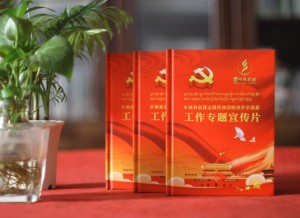 光盤(pán)精裝盒包裝定做-創(chuàng  )建進(jìn)步示范縣工作專(zhuān)題宣傳片視頻光盤(pán)包裝盒