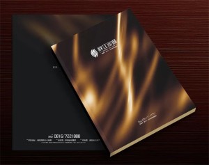 【高端樓書(shū)設計制作】售樓處房地產(chǎn)宣傳畫(huà)冊怎么做高檔簡(jiǎn)約大氣!