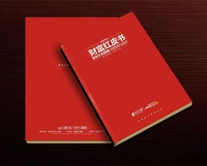 真正高端的房地產(chǎn)企業(yè)宣傳畫(huà)冊設計 擺脫創(chuàng  )意文案 廣告照樣牛逼！