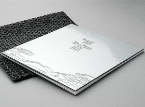 設計地產(chǎn)樓書(shū)一般多少錢(qián)1p-樓書(shū)設計價(jià)格是多少-地產(chǎn)畫(huà)冊收費標準