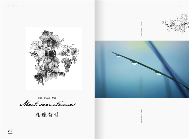 【成都房地產(chǎn)樓書(shū)設計公司】推薦很有內涵的高端樓書(shū)設計案例