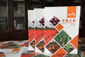 【500強企業(yè)】怎樣設計公司內部期刊雜志,期刊欄目?jì)热菰趺匆巹?/><span id=