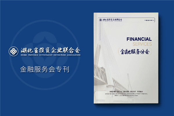 金融服務(wù)協(xié)會(huì )及知識產(chǎn)權雜志排版-企業(yè)文件內刊回憶錄