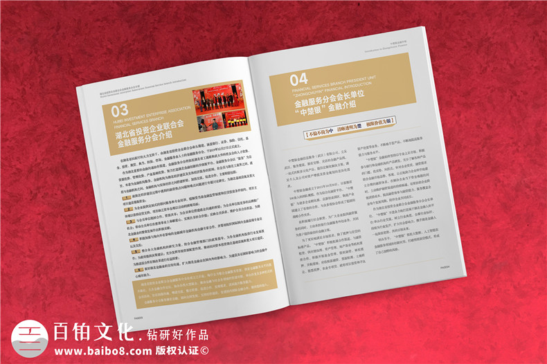 金融服務(wù)協(xié)會(huì )及知識產(chǎn)權雜志排版-企業(yè)文件內刊回憶錄