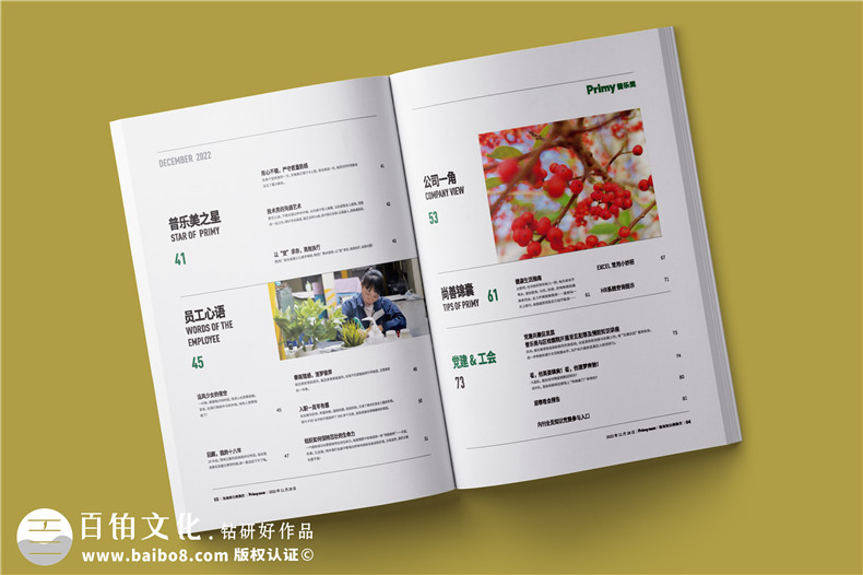 企業(yè)內部期刊設計有哪些內容版塊可以策劃第2張-宣傳畫(huà)冊,紀念冊設計制作-價(jià)格費用,文案模板,印刷裝訂,尺寸大小