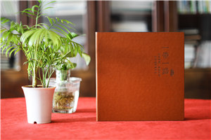 單位重大活動(dòng)出國考察紀念冊,團隊組織旅行留念相冊影集制作