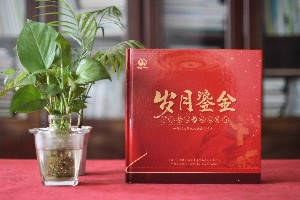 黨建畫(huà)冊設計-制作單位黨建工作紀實(shí)圖冊