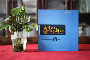 公司周年紀念畫(huà)冊排版-集團成立十五周年圖畫(huà)冊設計