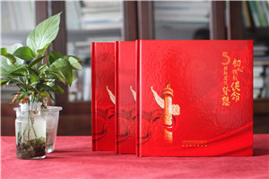 建黨100周年紀念冊-制作獻禮建黨一百周年畫(huà)冊的設計方案