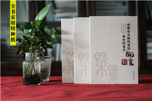 政府職能部門(mén)檔案館宣傳畫(huà)冊-事業(yè)單位工作成果出書(shū)