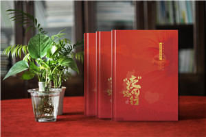 疫情防控志愿者照片制作抗疫圖畫(huà)冊-街道疫情防控紀念冊