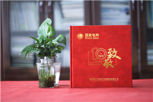 企業(yè)十周年慶典圖畫(huà)冊-國家電網(wǎng)公司成立10周年贈送成長(cháng)紀念冊