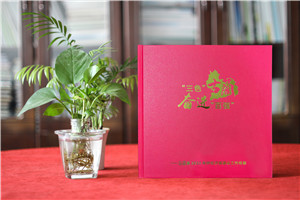 政府周年紀念冊-政府單位年度經(jīng)濟建設工作掠影總結畫(huà)冊