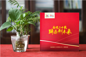 企業(yè)20年畫(huà)冊-公司廠(chǎng)慶回憶錄周年大事記書(shū)籍設計制作