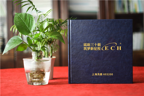 上市集團公司三十周年紀念冊-企業(yè)發(fā)展成果回顧畫(huà)冊設計