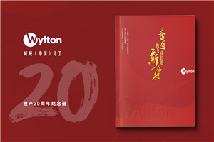化工企業(yè)20周年紀念冊設計-公司整合發(fā)展大事記畫(huà)冊