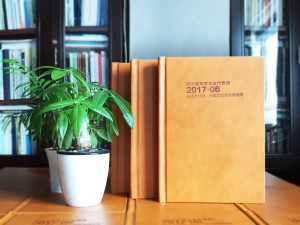 企業(yè)代表團出國考察紀念冊定制-培訓學(xué)習留念相冊