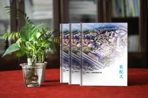 【項目紀念相冊】項目建設竣工之后做一本留念畫(huà)冊,淚和歡喜!
