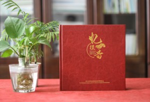 工程竣工畫(huà)冊策劃-水庫景觀(guān)項目開(kāi)工及交工紀念相冊-工程完工圖冊