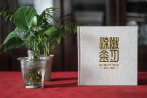 工作紀實(shí)畫(huà)冊-機關(guān)單位工作掠影相冊制作-工作足跡成長(cháng)回憶影集冊