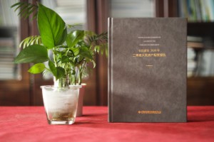 基金管理公司業(yè)績(jì)資料匯報畫(huà)冊-精裝資產(chǎn)配置報告圖冊怎么做