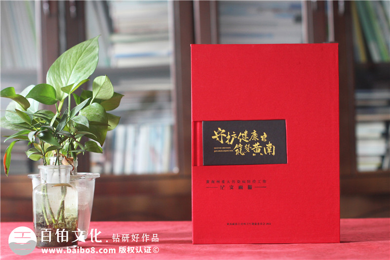 疾控中心重大傳染病防控工作紀實(shí)畫(huà)冊-衛生健康委員會(huì )成果宣傳畫(huà)冊