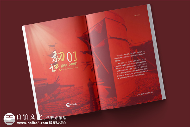 化工企業(yè)20周年紀念冊設計-公司整合發(fā)展大事記畫(huà)冊