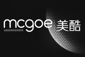 產(chǎn)品vi設計之音響工業(yè)品牌全案策劃項目:命名/logo設計/廣告宣傳語(yǔ)