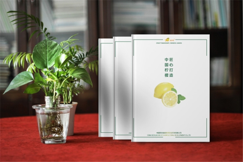 【水果宣傳冊設計】 農業(yè)公司農產(chǎn)品畫(huà)冊制作 樣本冊印刷
