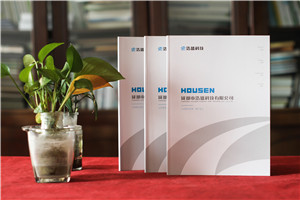 ICT軟硬件開(kāi)發(fā)信息化科技企業(yè)畫(huà)冊設計-弱電工程建設公司宣傳冊