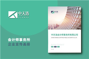 會(huì )計師事務(wù)所宣傳冊設計怎么做-審計咨詢(xún)公司簡(jiǎn)介畫(huà)冊制作案例