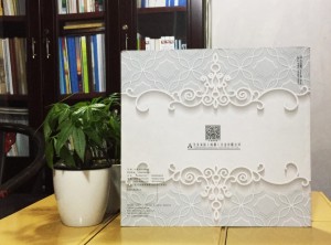 艾美家居衣柜畫(huà)冊設計-家具畫(huà)冊定制