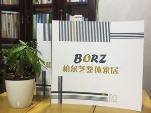 柏爾芝整體家居畫(huà)冊設計制作-定制衣柜產(chǎn)品畫(huà)冊