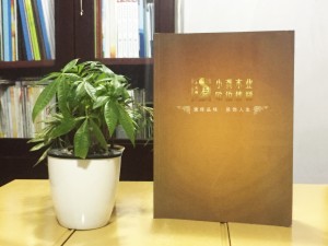 歐伯樓梯產(chǎn)品宣傳畫(huà)冊設計-家居產(chǎn)品宣傳冊制作
