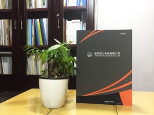 企業(yè)宣傳畫(huà)冊制作-公司業(yè)務(wù)手冊