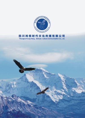 文化傳播公司宣傳冊設計-傳媒公司畫(huà)冊怎么制作