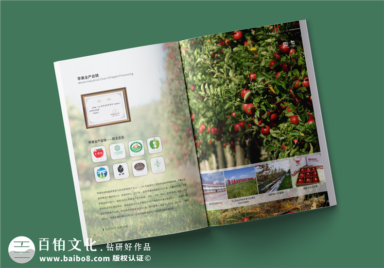 農業(yè)宣傳冊制作-農業(yè)科技宣傳冊設計推廣農業(yè)產(chǎn)品