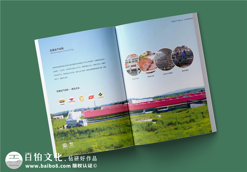 農業(yè)畫(huà)冊設計-農業(yè)公司農產(chǎn)品宣傳冊怎么做