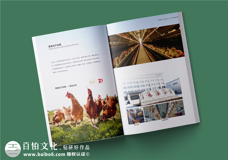 農業(yè)畫(huà)冊設計-農業(yè)公司農產(chǎn)品宣傳冊怎么做