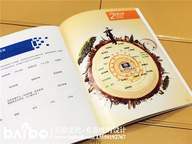 高新信息技術(shù)企業(yè)宣傳畫(huà)冊設計制作-公司畫(huà)冊印刷